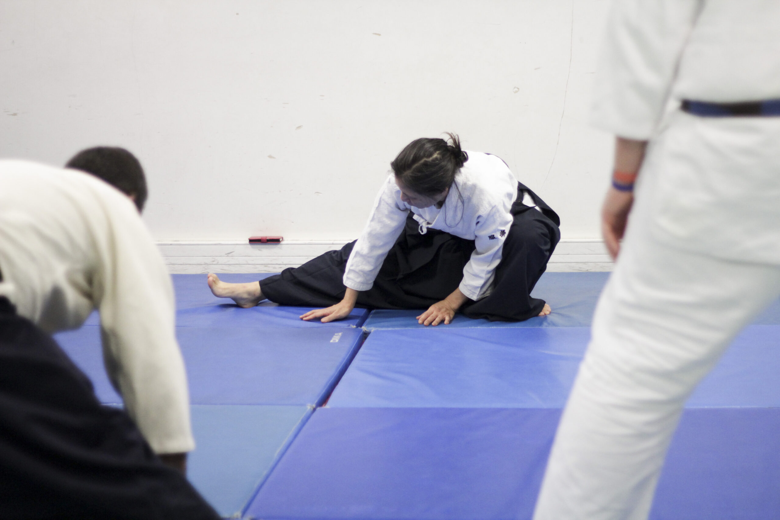 stage d'été aikido